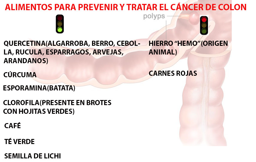 dieta cancer de colon