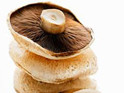 hongos portobello y vitamina D