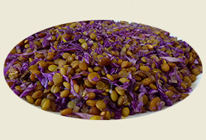 tostadas con naranja y chocolateamargo