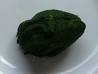 medallones de espinaca