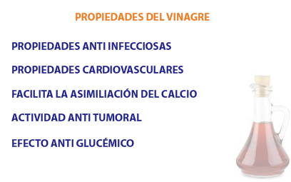 propiedades de la acelga